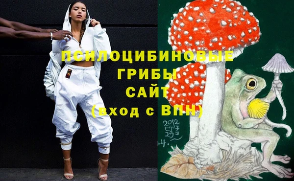 ГАЛЛЮЦИНОГЕННЫЕ ГРИБЫ Алзамай