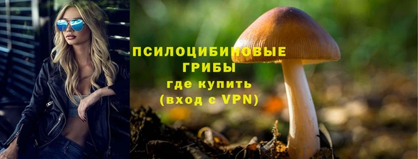 ALPHA-PVP Алексеевка