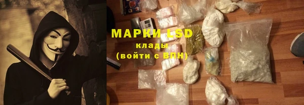 ГАЛЛЮЦИНОГЕННЫЕ ГРИБЫ Алзамай