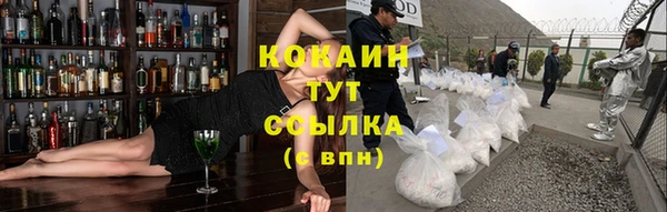 дживик Алексин